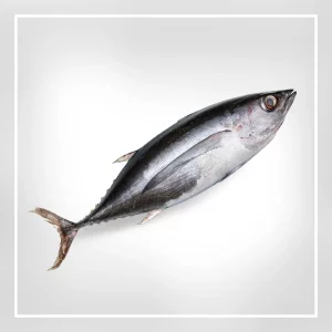 degustations-recompense-alimentaire-vins-produits-qualites-gustatives-evaluation-sensorielle-saveur-qualite-gourmets-de-france-6
