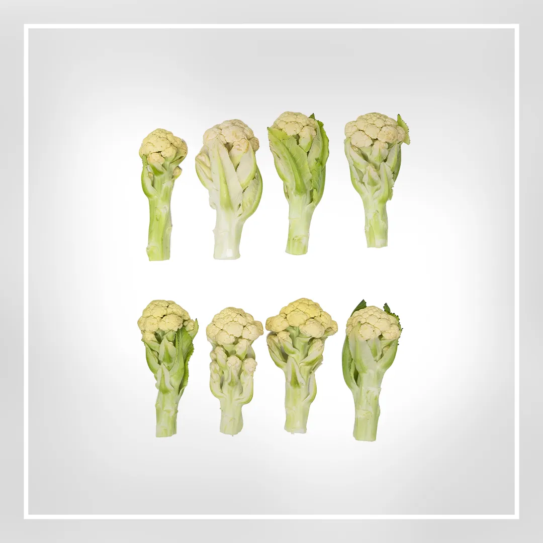 degustations-recompense-alimentaire-vins-strictement-encadrees-evaluation-sensorielle-saveur-qualite-gourmets-de-france-6