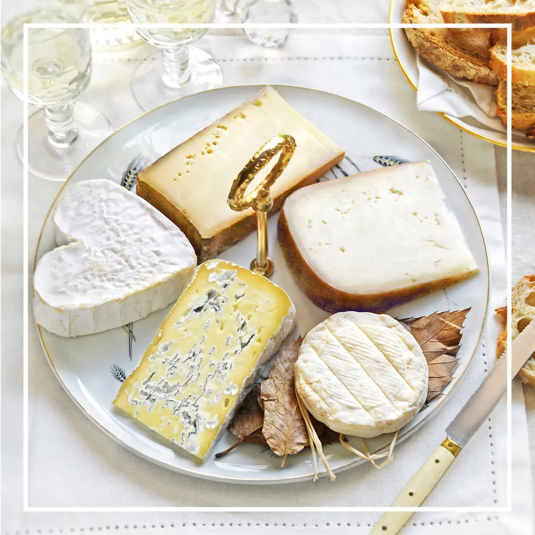 edition-livres-gastronomiques-vins-terroirs-restauration-art-de-vivre-fromagers-producteurs-gourmets-de-france-4