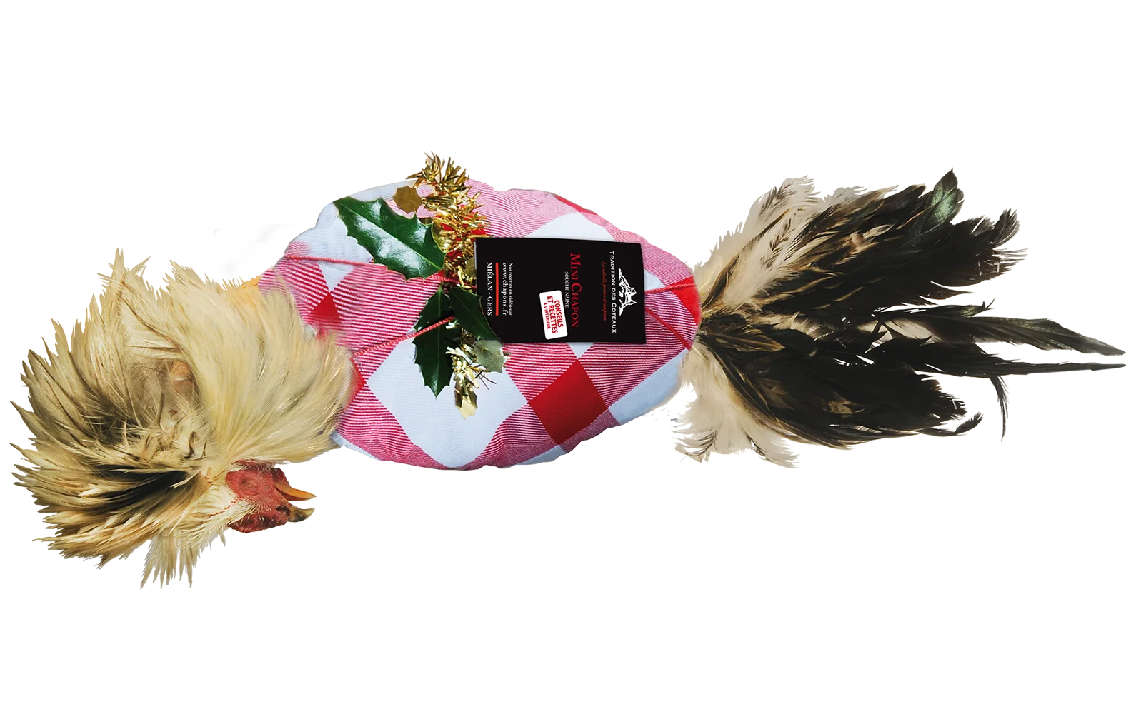 edition-un-chef-un-terroir-gastronomie-art-de-vivre-arts-de-la-table-artisans-et-les-savoir-faire-produit-qualite-gourmets-de-france-1