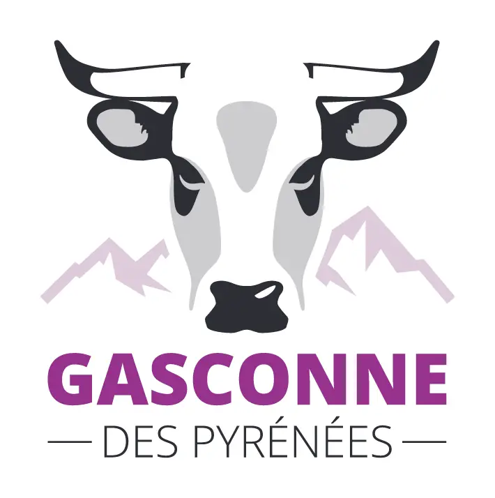 edition-un-chef-un-terroir-gastronomie-producteurs-traditions-gastronomie-vins-viande-gasconne-qualite-produits-locaux-6